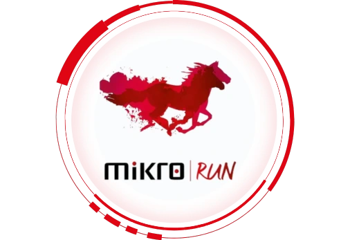 Mikro Bayi