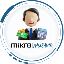 Mikro Müşavir